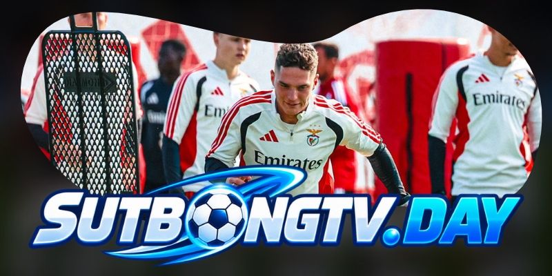 Tổng hợp dự đoán kèo Santa Clara vs Benfica ngày 27/10